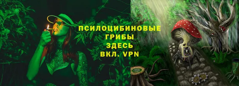 купить закладку  Майский  ссылка на мегу зеркало  Псилоцибиновые грибы Magic Shrooms 